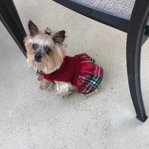 Meet your Posher, Christine